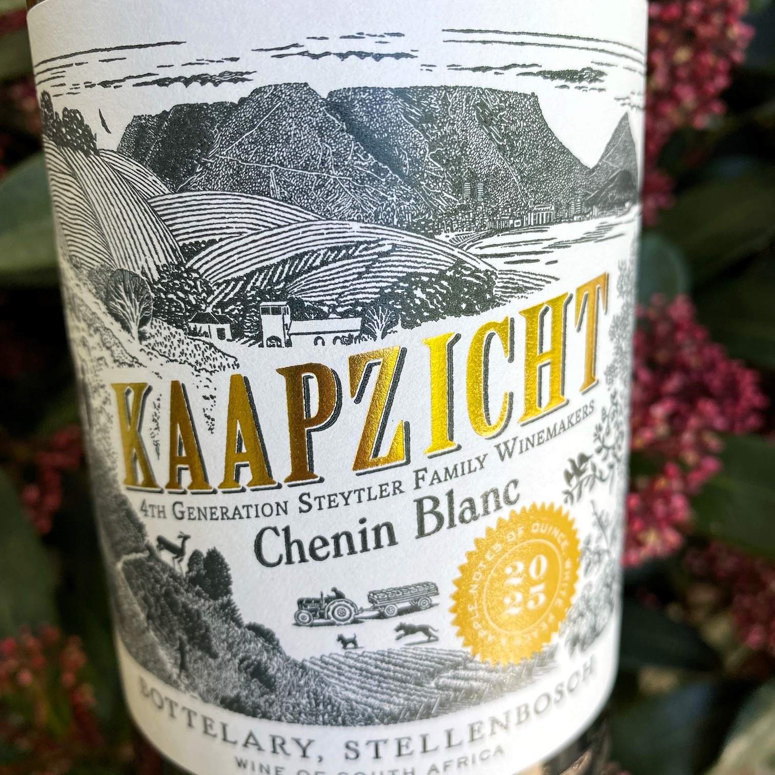 2025 Chenin Blanc, Kaapzicht