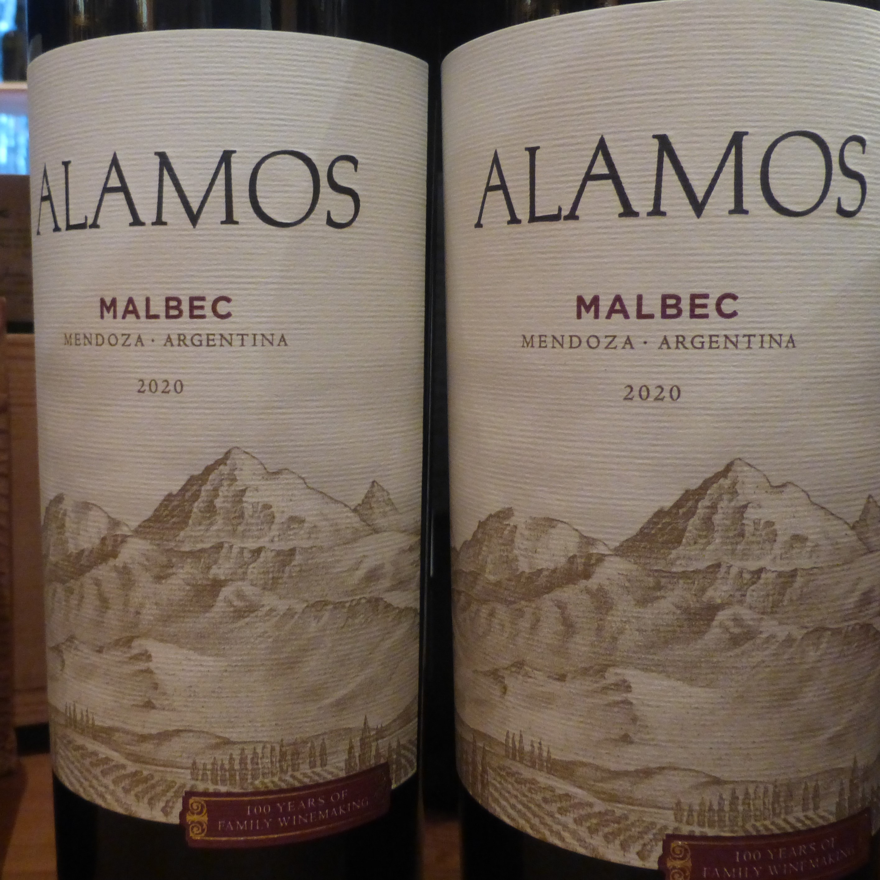 2022 Alamos Malbec Magnum - Mendoza, Argentinia