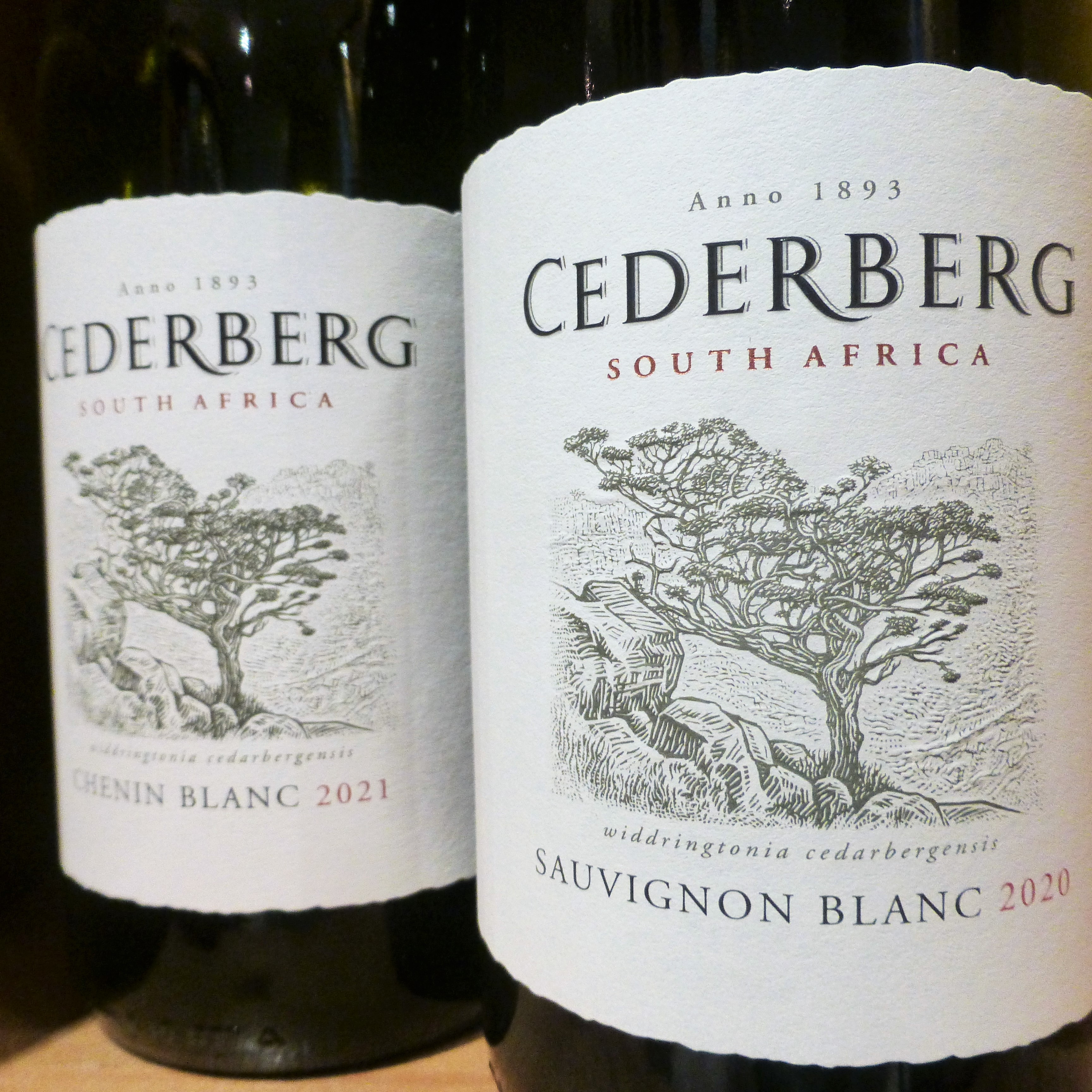 2023 Cederberg Sauvignon Blanc