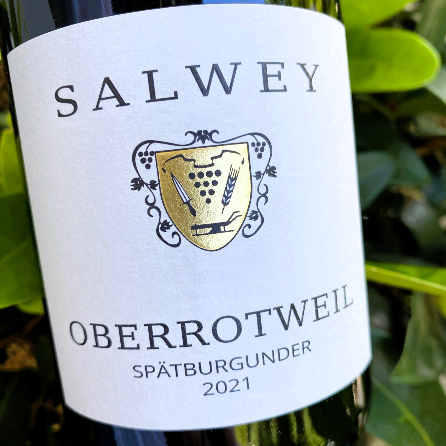 2021 Oberrotweil Spätburgunder trocken unfiltriert, Weingut Salwey